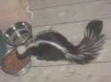 "New" Family Pet