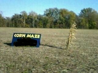 corn maze.jpg